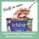 Schesir Cat Adult Tonnetto con manzo jelly 85g