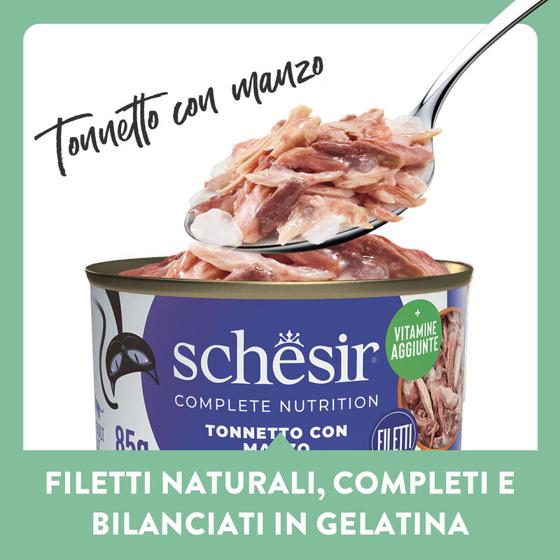 Schesir Cat Adult Tonnetto con manzo jelly 85g