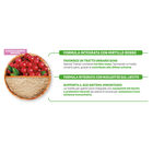 Natural Trainer Cat Kitten con Pollo Fresco 1,5 kg