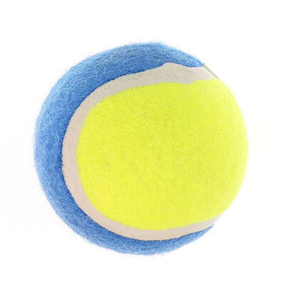 Petup Joy Palla Tennis 10 cm | L'Isola dei Tesori
