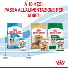 Royal Canin Dog Mini Puppy 85 gr