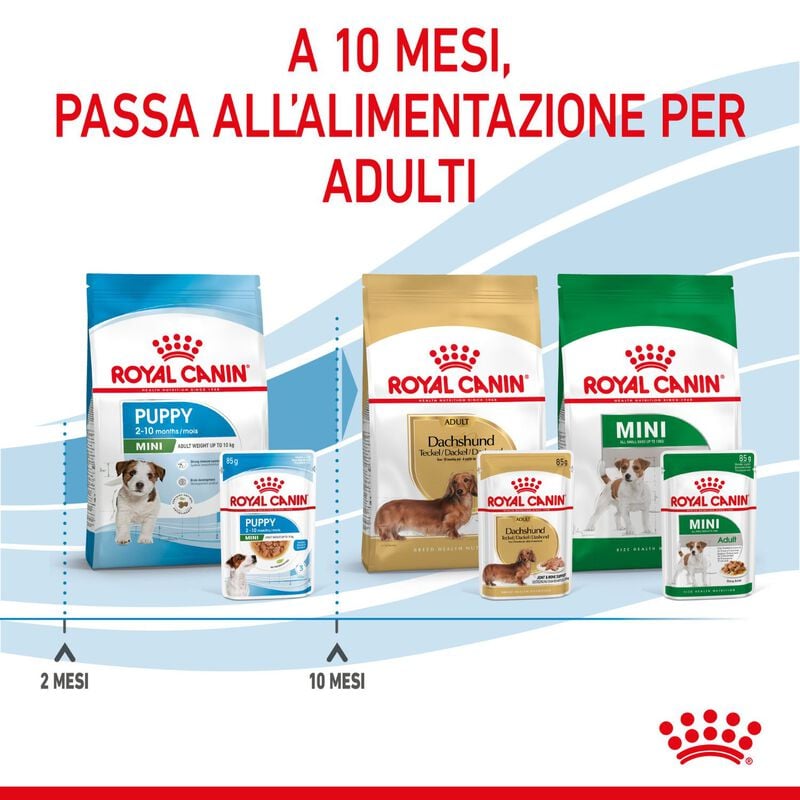 Royal Canin Dog Mini Puppy 85 gr
