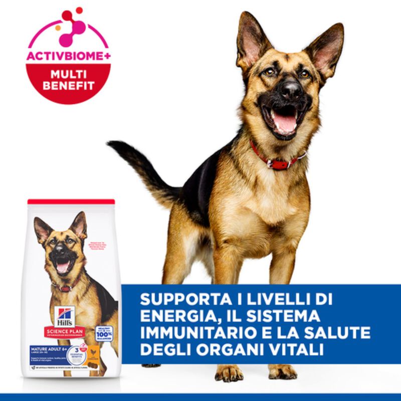Hill's Science Plan Dog Large Breed Mature Adult 6+ con Pollo 12 kg