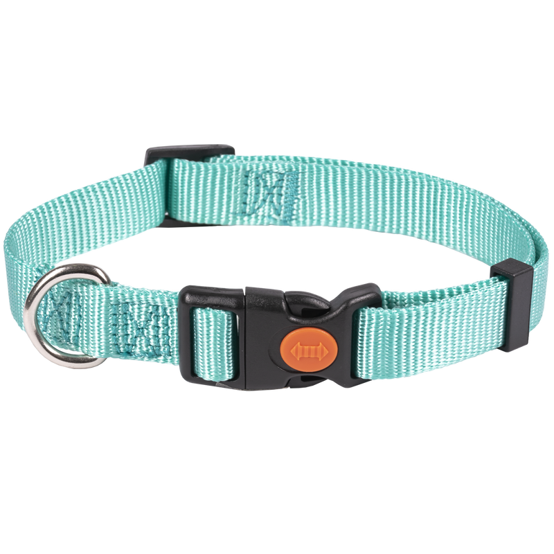 Petup Collare nylon a sgancio mm 25 acquamarina