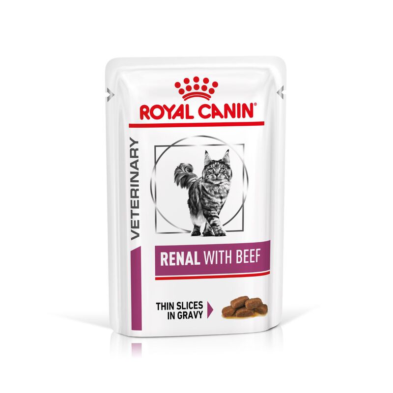 Royal Canin Veterinary Diet Cat Renal con Manzo 12x85 gr
