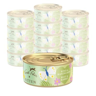 Terra Felis Kitten Manzo e coniglio 70 gr