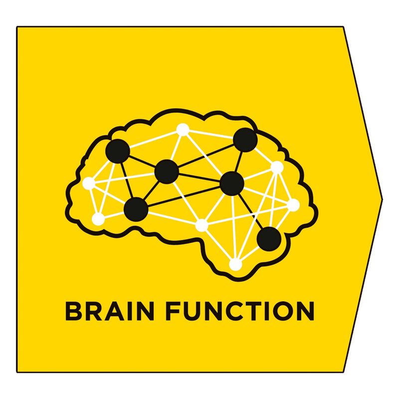 Purina Pro Plan Veterinary Diet Dog NC Neurocare 12 kg 