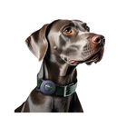 Trackipet Localizzatore GPS per animali domestici
