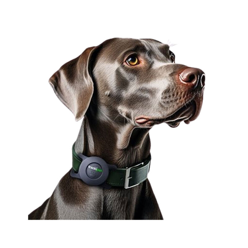 Trackipet Localizzatore GPS per animali domestici