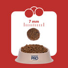 Monopro Cat Sterilised Manzo 350gr