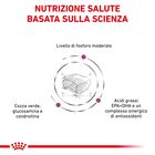 Royal Canin Veterinary Diet Cat Early Renal 1,5 kg