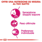 Royal Canin Cat Adult Savour Exigent 10 kg
