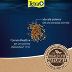 Tetra Micro Granules 100 ml