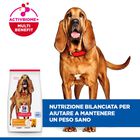 Hill's Science Plan Dog Light Medium Mature 7+ con Pollo 14 kg