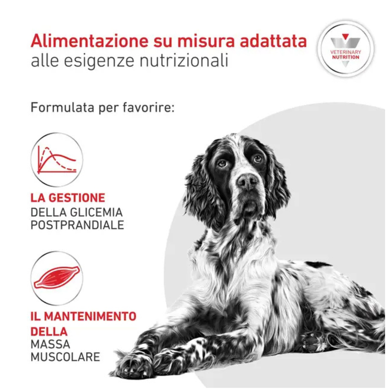 Royal Canin Veterinary Diet Dog Adult Glycobalance 1,5kg