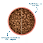 Wow Dog Adult Mini Pollo con spinaci e mirtilli rossi 1kg