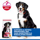 Hill's Science Plan Dog Large Breed Adult al Pollo 18 kg