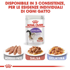 Royal Canin Cat Adult Sterilised Salsa 85 gr