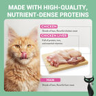 Schesir After Dark Cat Adult Filetti in brodo Pollo con Manzo 80 gr