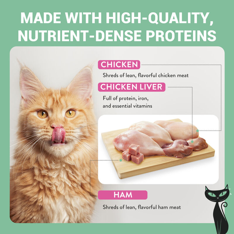 Schesir After Dark Cat Adult Filetti in brodo Pollo con Manzo 80 gr