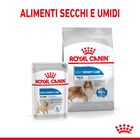 Royal Canin Dog Adult Maxi Light Weight Care 12 kg Royal Canin Dog Adult Maxi Light Weight Care 12 kg
