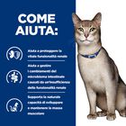 Hill's Prescription Diet Crocchette per gatti adulti con Salmone 400 gr