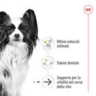 Royal Canin Dog Senior 12+ X-Small 500 gr