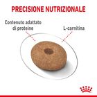 Royal Canin Dog Adult e Senior Mini light weight care 3 kg