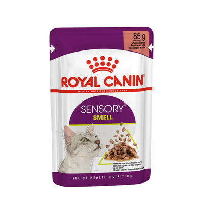 Royal Canin Cat Adult Sensory Smell Salsa Busta 85 gr