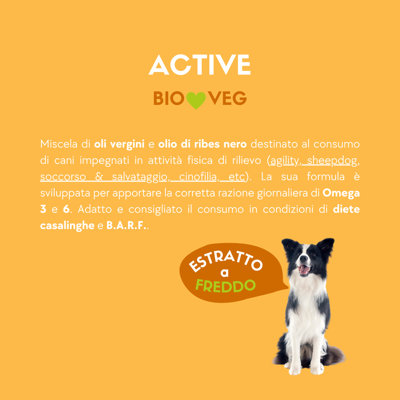 Joepet Dog Active Bio Veg Olio 250ml