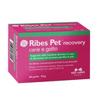 Nbf Lanes Ribes Pet Recovery 60 perle