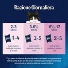 Felix Le Ghiottonerie Kitten Selezioni Deliziose Manzo e Pollo 72 pz x 85 gr