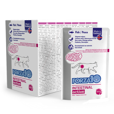 Forza 10 Diet Cat Adult Intestinal Actiwet 100 gr