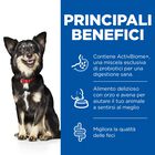 Hill's Science Plan Dog Perfect Digestion Small & Mini Adult 1+ con Pollo e Riso integrale 1,5 kg