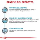 Royal Canin Veterinary Diet Cat Sensitivity Control Pollo con Riso 12x85 gr