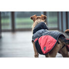 Hunter Impermeabile per cani Uppsala Cozy nero e rosso tg. 30