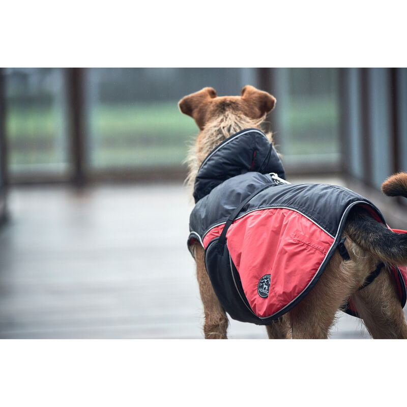 Hunter Impermeabile per cani Uppsala Cozy nero e rosso tg. 30