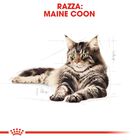 Royal Canin Cat Maine Coon 85 gr