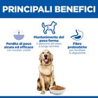 Hill's Science Plan Dog Perfect Weight Large Breed Adult con Pollo 12 kg