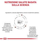 Royal Canin Veterinary Diet Dog Puppy Gastrointestinal 2,5 kg