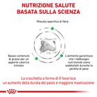 Royal Canin Veterinary Diet Dog Satiety Weight Management 1,5 kg