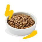 Edgard & Cooper Cat Adult Pollo e Tacchino 2 kg