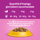 Whiskas Cat Adult 1+ al Pollo 300 gr