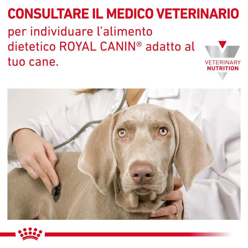 Royal Canin Veterinary Diet Small Dog Urinary S/O 1,5 kg