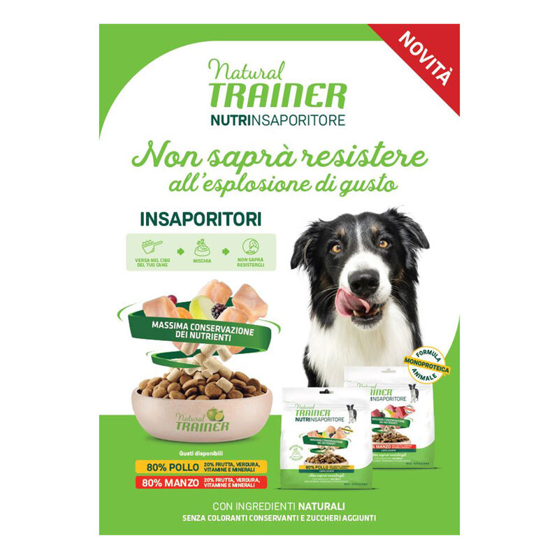 Natural Trainer Freeze Dried Nutrinsaporitore Manzo 120g