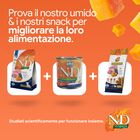 N&D Farmina Pumpkin Dog Puppy Mini Agnello e Mirtillo 800 gr