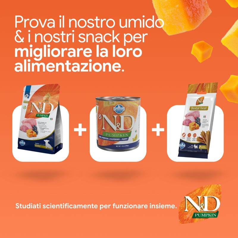 N&D Farmina Pumpkin Dog Puppy Mini Agnello e Mirtillo 800 gr