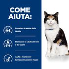 Hill's Prescription Diet Cat y/d Thyroid Care 1,5 kg