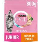 Purina One Bifensis Cat Junior (1-12 mesi) Pollo e Cereali Integrali 800 gr