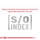 Royal Canin Veterinary Diet Cat Renal 2 kg